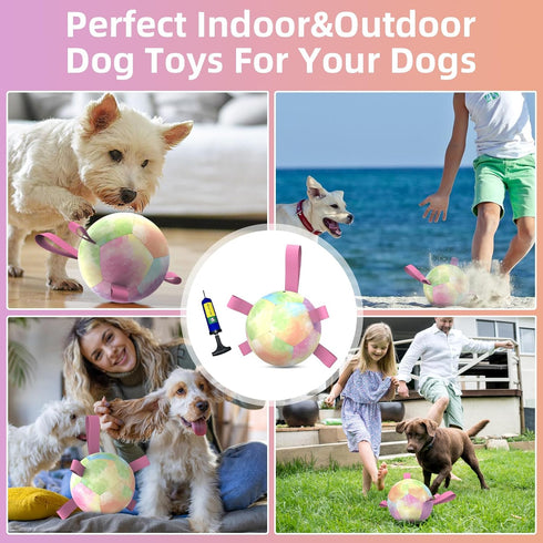 Dog Toys Soccer Ball with Straps, Durable Dog Balls for Tug of War, Puppy Birthday Gifts, Dog Water Toy Small Dogs-Rainbow?5 Inch?...